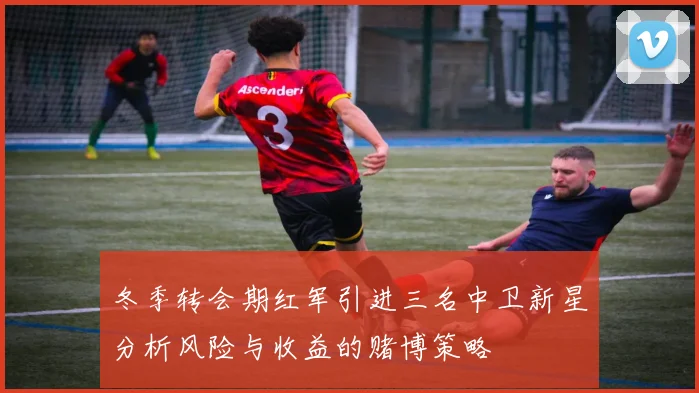 冬季转会期红军引进三名中卫新星分析风险与收益的赌博策略